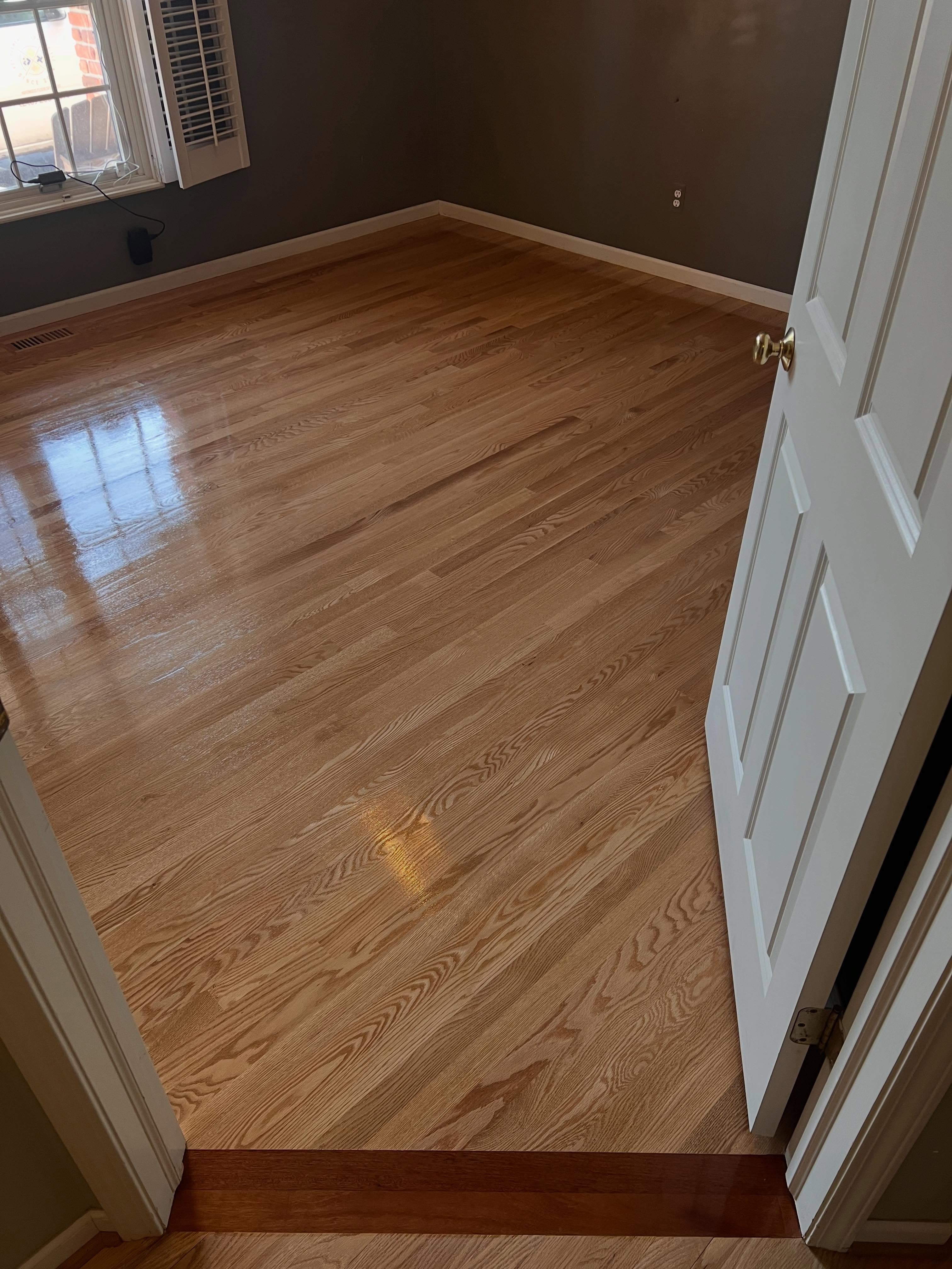 Empty room with dark walls, polished hardwood floor in medium golden-brown tone